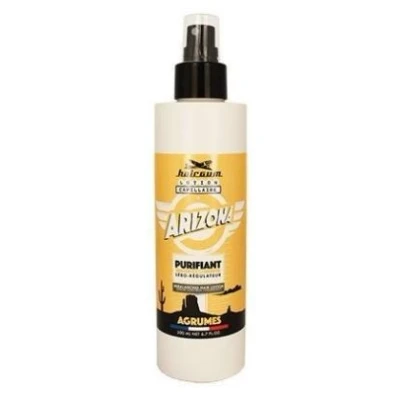 Afbeelding van Hairgum Lotion Soin cheveux purifiante Arizona
