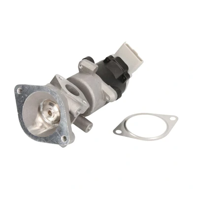 Afbeelding van EGR klep MAGNETI MARELLI 571822112032