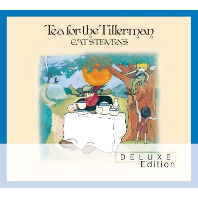 Afbeelding van Cat Stevens Tea For The Tillerman (2 CD) (Deluxe Edition)
