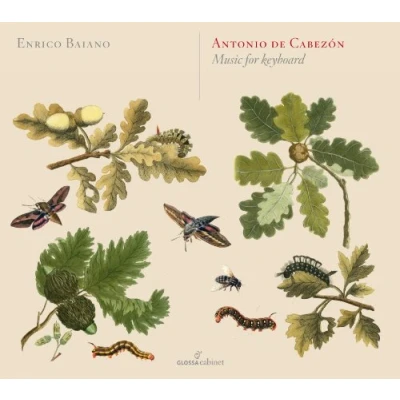 Afbeelding van Enrico Baiano Music For Harpsichord (CD)