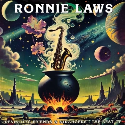 Afbeelding van Ronnie Laws Revisiting Friends &amp; Strangers: The Best Of (CD)