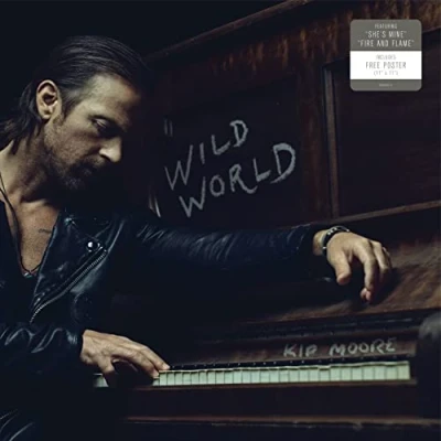 Afbeelding van Wild World (LP)