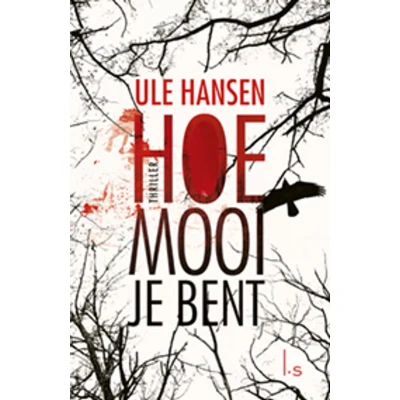 Afbeelding van Hoe mooi je bent (POD)