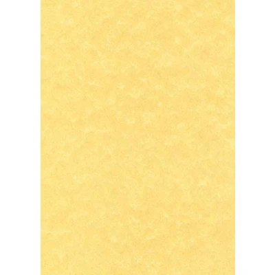 Afbeelding van Papier Apli Gouden 50 vellen
