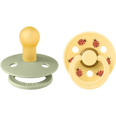 Afbeelding van BIBS Studio Colour Fopspenen 2 Stuks Size Ladybug Sage Mix