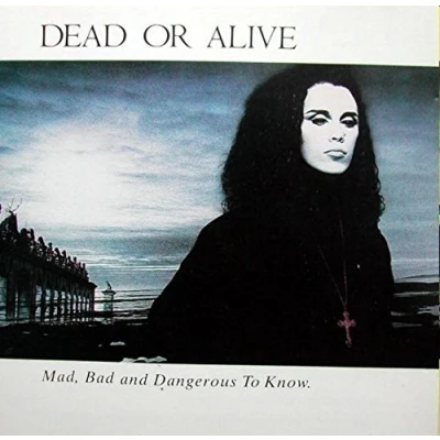 Afbeelding van Mad Bad And Dangerous To Know