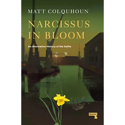 Afbeelding van Narcissus in Bloom