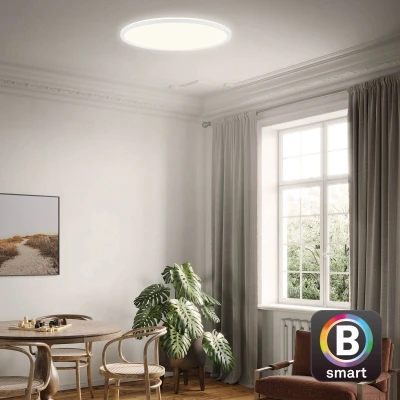 Afbeelding van Briloner Leuchten SLIM LED Panel 22W 3000 lm instelbare kleurtemperatuur, dimbaar nachtlichtfunctie, timerfunctie, geheugenfunctie achtergrondverlichtingseffect Amazon Echo en Google Home IP20 20.000 uur Ø42 cm