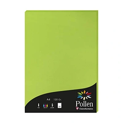 Image de Etui de 50 feuilles Pollen A4 Vert Menthe 120g