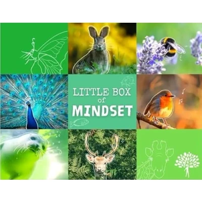 Afbeelding van Little Box of Mindset
