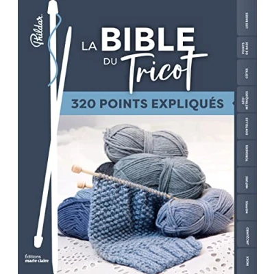Afbeelding van Bible du tricot 300 points