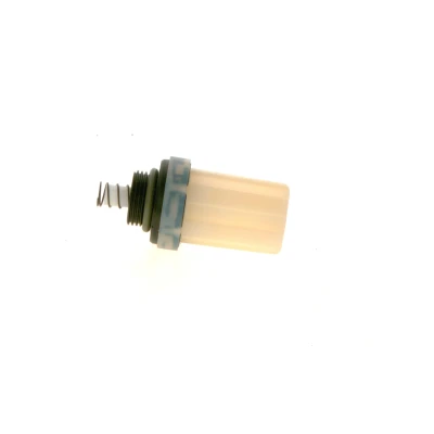 Afbeelding van Bosch Brandstoffilter 2 447 010 042
