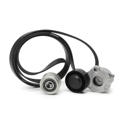 Afbeelding van Poly V riem set INA 529 0484 20