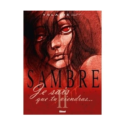 Image de Sambre Tome 02
