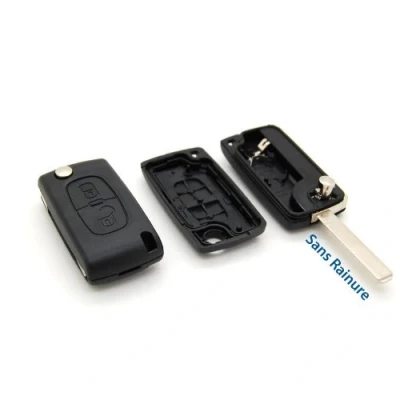 Afbeelding van Sleutelhoes met afstandsbediening 2 knoppen Citroen C1 C2 C3 C4 C5 zonder groef