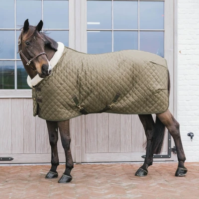Image de Kentucky Show Rug 160g Khaki
