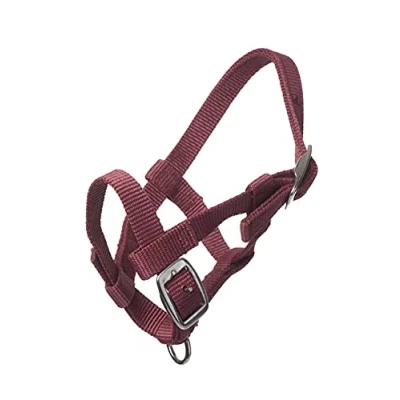 Image de HB Licol Nylon Bordeaux Poulain Miniature