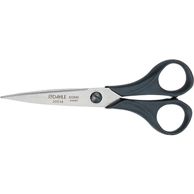 Afbeelding van Dahle Schaar Papier 16 Cm