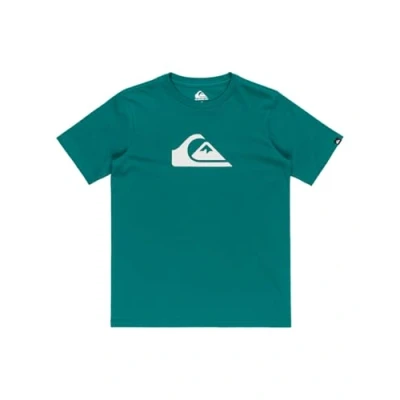 Afbeelding van Quiksilver LOGO Unisex Tshirt print voor kinderen, Maat: 176, Teal green