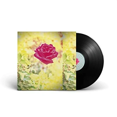 Afbeelding van Lambchop Trip (LP)