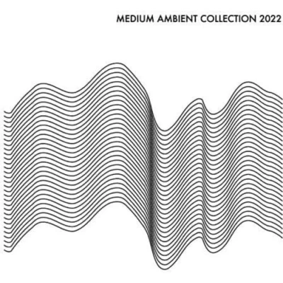 Afbeelding van V/A Medium Ambient Collection 2022 (2 LPs)