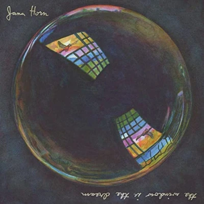 Afbeelding van Jana Horn Window is the Dream (LP)