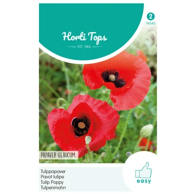 Afbeelding van Papaver glaucum Tulp Hortitops