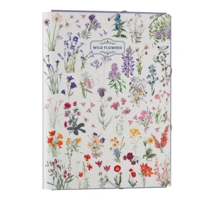 Image de Grupo Erik Chemise Cartonnée A4 Botanical Wild Flowers à Rabats Rigide Pochette 24 x 34 cm Fournitures Scolaires, de Bureau