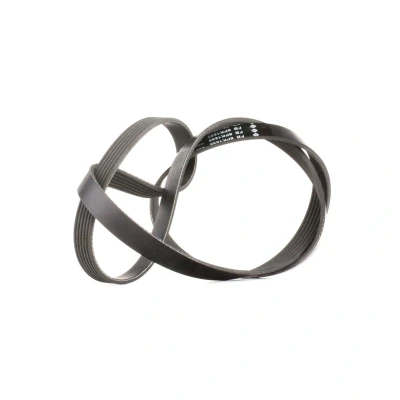 Afbeelding van Ina Poly V riem FB 6PK1555