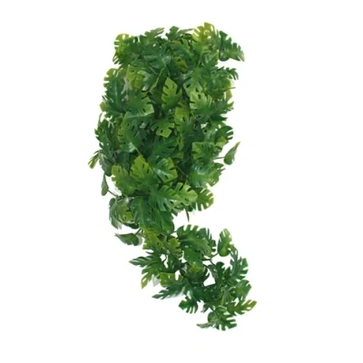 Afbeelding van Komodo Plant Split Philodendron 30 CM