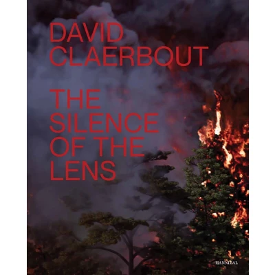 Afbeelding van David Claerbout
