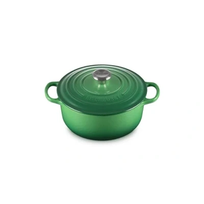 Image de LE CREUSET Cocotte Ronde en Fonte Émaillée 20 cm Vert