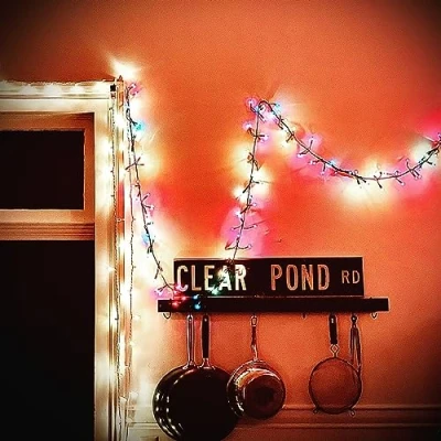 Afbeelding van Kristin Hersh Clear Pond Road (LP)