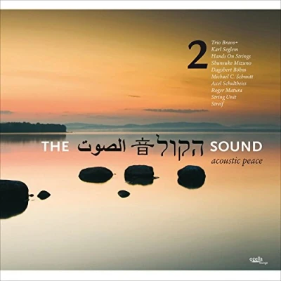 Afbeelding van Various Artists The Sound Vol 2 (CD)