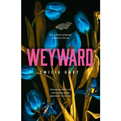 Afbeelding van Weyward