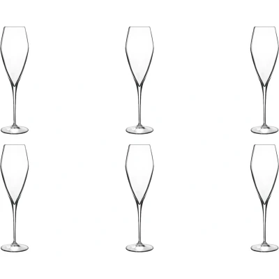 Afbeelding van Luigi Bormioli Atelier Champagneglas Groot 270 ml 6 stuks