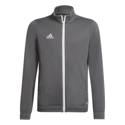 Image de adidas Mixte enfant Entrada 22 Track Jacket, Team Grey Four, 15 16 Years