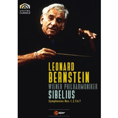 Afbeelding van Leonard Bernstein Symphonies Nos 1,2,5 &amp; 7