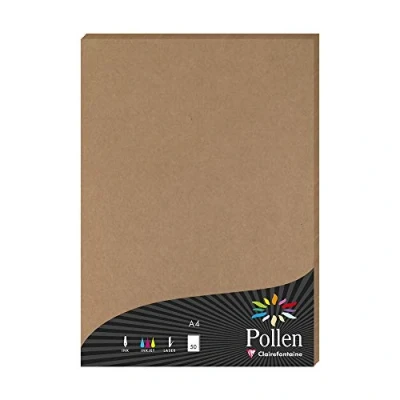 Image de POLLEN KRAFT ETUI 50F A4 120G