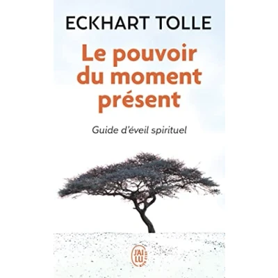 Afbeelding van Le Pouvoir Du Moment Present