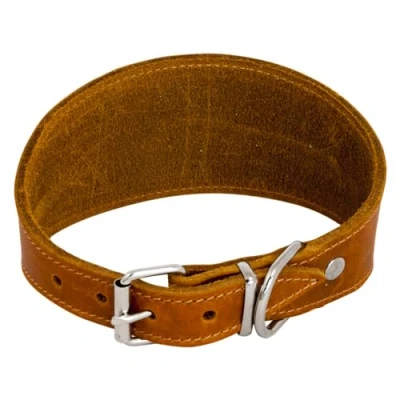 Afbeelding van Jack and Vanilla Windhondenhalsband Greased Leather Cognac