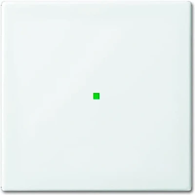 Afbeelding van ABB Busch Jaeger FreeAtHome Schakelelement/Centrale Plaat 2CKA006220A0355 E379R