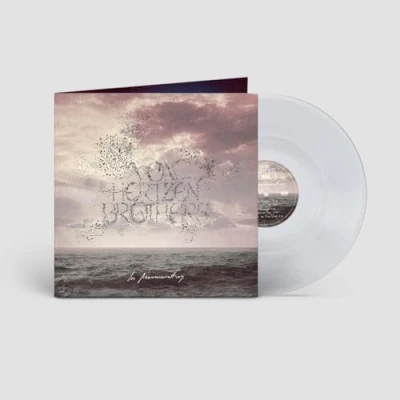 Afbeelding van Von Hertzen Brothers In Murmuration (LP)