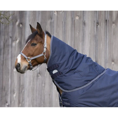 Image de EQUITHÈME Couvre Cou Tyrex 600D 0g Poney