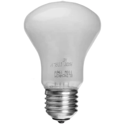 Afbeelding van Elinchrom Model Lamp 100W 196V (voor D Lite)