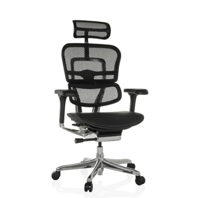 Afbeelding van ERGOHUMAN GEN2 Mesh / leder Luxe directiestoel Zwart