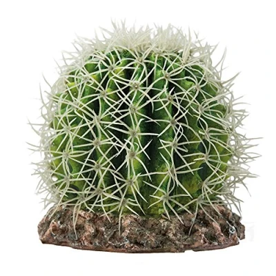 Afbeelding van Hobby Terrano Cactus Sonora