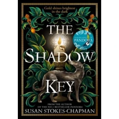Image de The Shadow Key