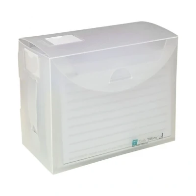 Afbeelding van 4X6 Fab File Box met folders