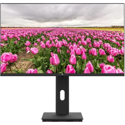 Afbeelding van Monitor V7 L238V0 HAS E Full HD 23,8&quot;